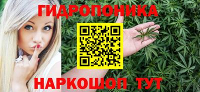 индика Аргун